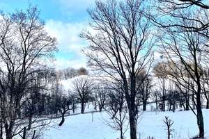 Property thumbnail 18