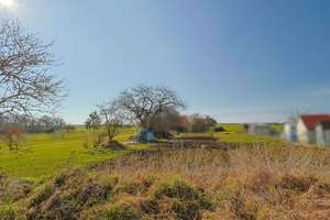 Zwei Doppelhaushalten mit 3.820 qm Land in ruhiger Lage - Mecklenburgische Seenplatte – 17089 Gültz – Vorschaubild 44