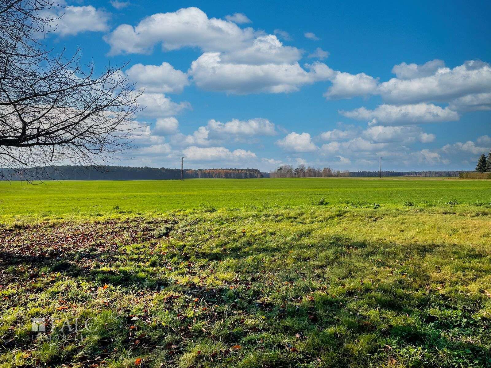 Ein Paradies für Pferdeliebhaber – Historischer Vierseitenhof, Weideland & Scheunen in Feldrandlage, Teltow Fläming Kreis – Bild 4