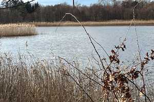 Provisionsfreies Wassergrundstück? … idyllisch und verträumt gelegen … – Oberhavel (Kreis) – Vorschaubild 4