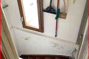 Ruhige Doppelhaushälfte in Worms-Herrnsheim  – Muldstraße 30, 67550 Herrnsheim, Worms – Vorschaubild 43
