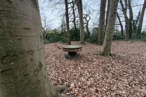 So sehen Träume aus! Imposante Villa auf  9.775 m² parkähnlichem Grundstück und eigenem Wald. – Amtsdamm 65, 27628 Hagen im Bremischen – Vorschaubild 18