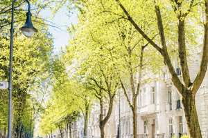 Sanierter Altbauklassiker in Top Lage von Berlin-Charlottenburg
