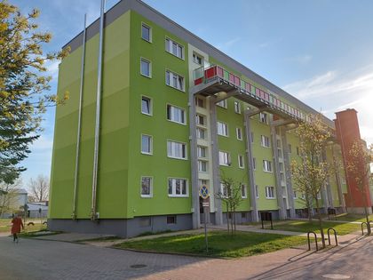 Wohnung Mieten In Oebisfelde Immobilienscout24