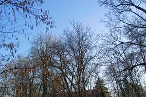 Property thumbnail 19