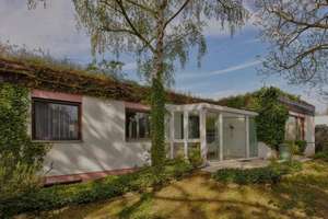 Ihr eigener Wald auf dem Dach  ---  Biotop statt Beton – Die vollständige Adresse der Immobilie erhältst du vom Anbieter., 55128 Bretzenheim, Mainz – Vorschaubild 2