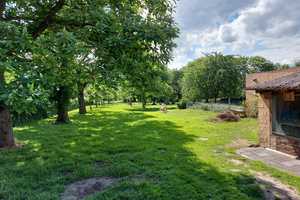 Bauernhof auf  16.802 m² Grundstück, ein Traum für jeden Pferdeliebhaber   mit 2 getrennte Häuser – Heinsberg (Kreis) – Vorschaubild 39