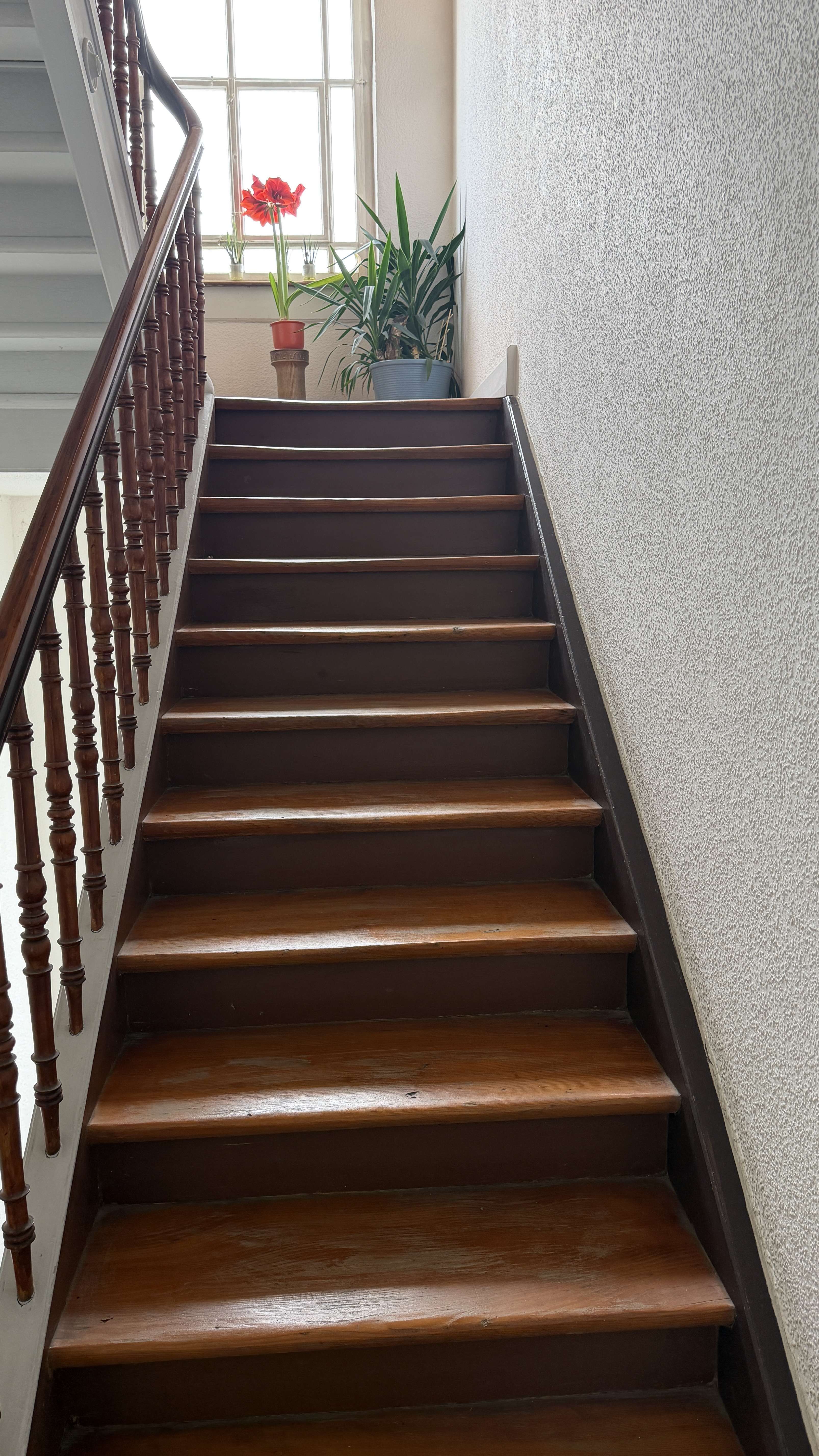 2 Zimmer WHG Altabu, Freiburg im Breisgau – Bild 4