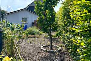 Wildeshausen! Zwei vermietete Einfamilienhäuser mit Carport und Garten in zentrumsnaher Siedlungslag – Oldenburg (Kreis) – Vorschaubild 22