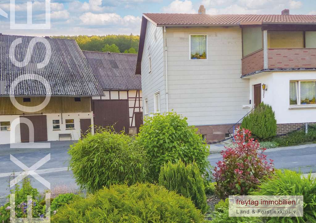 Immobilie in Bodenfelde - Landleben im Hochsolling: Hühner, Enten, Gänse, Pferde - Bild 3