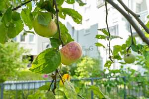 Stilvoll wohnen zwischen Mitte & Kreuzberg – mit Balkon und begehbarem Ankleidezimmer – 10179 Mitte (Ortsteil), Berlin – Vorschaubild 33