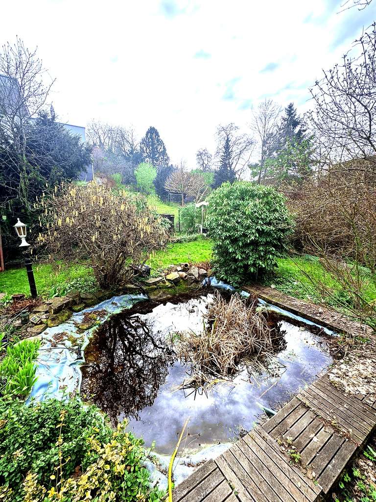 Immobilie in Schlangenbad - Einfamilienhaus mit Einliegerwohnung(en) & schönem großen Garten 🌿 | Bieterverfahren ab 700.000 € - Bild 4