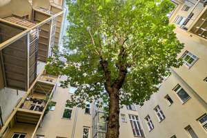 Sanierte Gartenwohnung mit 2 Bädern in bester Lage Friedrichshains – Bänschstr. 29, 10247 Friedrichshain, Berlin – Vorschaubild 26