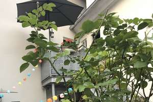 Provisionsfrei und Preisreduziert: 1.240.000€! Charmante Hofreite mit drei separaten Wohneinheiten  – Die vollständige Adresse der Immobilie erhältst du vom Anbieter., 65203 Biebrich, Wiesbaden – Vorschaubild 14