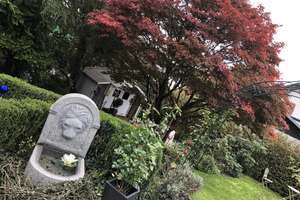 Tolle Gelegenheit - Einziehen & wohlfühlen! Großes Einfamilienhaus mit großem Garten und Kamin – Die vollständige Adresse der Immobilie erhältst du vom Anbieter., 65321 Heidenrod – Vorschaubild 31