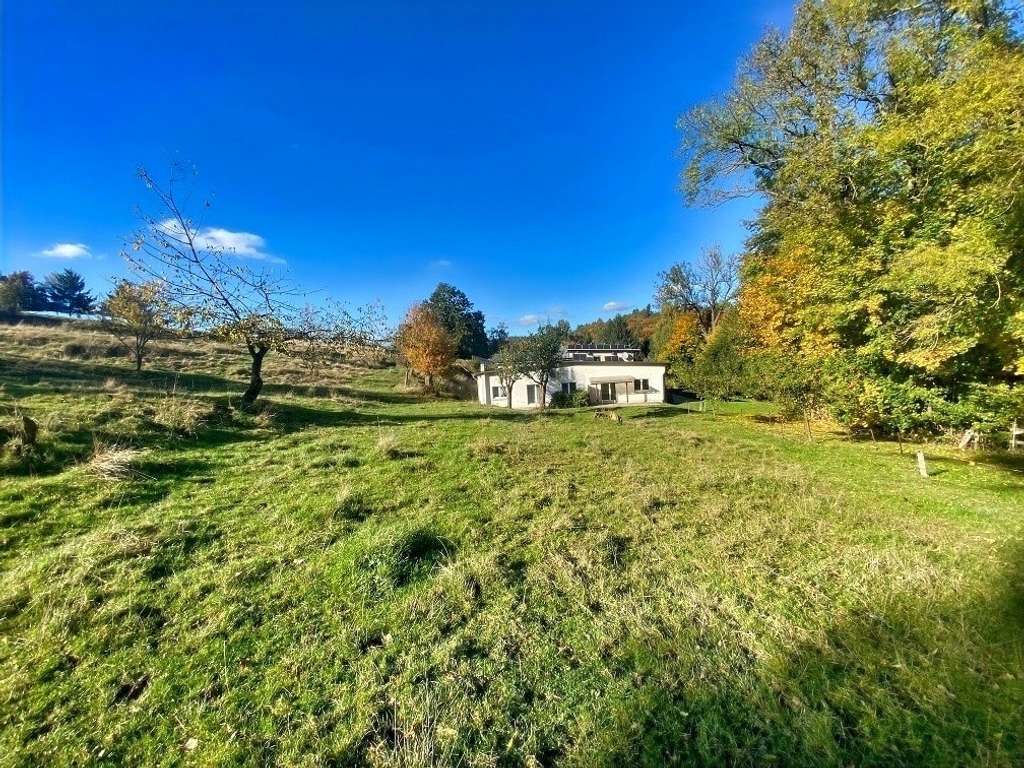 Immobilie in Netzschkau - Anwesen mit vielen Möglichkeiten ! - Bild 2