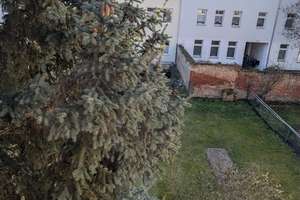 Ruhig gelegene neu renovierte 2-Raum-Wohnung mit EBK in MD-Sudenburg sucht Sie!! – GutsMuthsweg 5, 39112 Sudenburg, Magdeburg – Vorschaubild 21