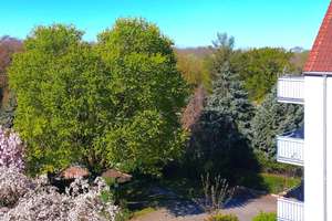 Dachgeschoss Traum mit Auwald Blick + Süd Balkon + Zwei Bäder + Tiefgarage + Eigennutzung o. Anlage