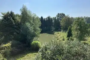 Haus mit großem Grundstück und Fischteich – Passau (Kreis) – Vorschaubild 3