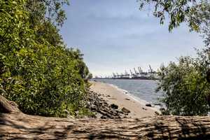 Liebe auf den ersten Blick. – Hamburg – Vorschaubild 7