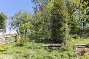 MFH mit 3 WE und 1 GE sowie Top-Potenzial zur flexiblen Nutzung in naturnaher Lage – Sächsische Schweiz-Osterzgebirge (Kreis) – Vorschaubild 20
