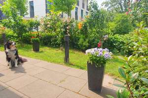 2-Raum-Wohnung in Berlin Tiergarten mit Gartenanteil – Die vollständige Adresse der Immobilie erhältst du vom Anbieter., 10555 Hansaviertel, Berlin – Vorschaubild 13