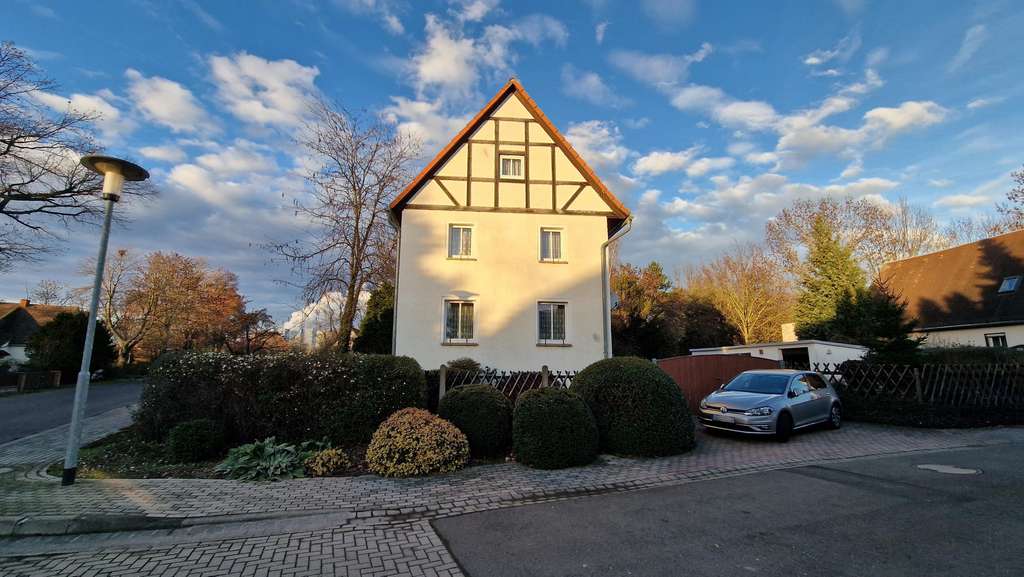 Immobilie in Neukieritzsch - Domizil für Naturliebhaber mit Potential - Bild 3