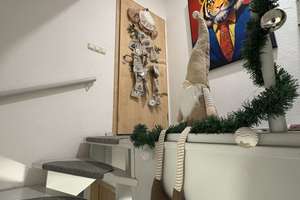 Modernes Wohnen trifft Wellness-Oase: Provisionsfreies Raumwunder mit Smart Home, Pool und Sauna – Die vollständige Adresse der Immobilie erhältst du vom Anbieter., 8060 Marienthal West, Zwickau – Vorschaubild 10