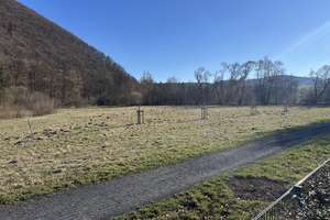 Einfamilienhaus am Ortsrand von Marsberg – Die vollständige Adresse der Immobilie erhältst du vom Anbieter., 34431 Marsberg – Vorschaubild 35