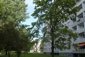 Lichtdurchflutete 3-Raum-Wohnung mit Balkon – Clausewitzstr. 17, 9130 Yorckgebiet, Chemnitz – Vorschaubild 2