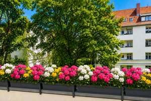 EXKLUSIVE 4-ZIMMERWOHNUNG MIT KAMIN, LOGGIA  &  HOCHWERTIGER SANIERUNG  IN BESTLAGE BERLIN-STEGLITZ – Die vollständige Adresse der Immobilie erhältst du vom Anbieter., 12163 Steglitz, Berlin – Vorschaubild 2