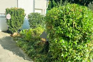 Einfamilienhaus mit ca. 120 QM, 3 Zimmer,Terrasse. ,Garten, 2 Garagen, AC-Burtscheid – Die vollständige Adresse der Immobilie erhältst du vom Anbieter., 52066 Burtscheider Abtei, Aachen – Vorschaubild 38
