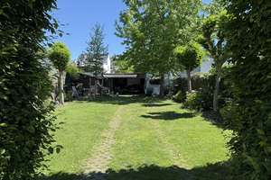 Innenstadtoase: Stadthaus mit Terrassen; schönem Garten; Büroeinheit; PKW-Stellplätzen, PV-Anlagen