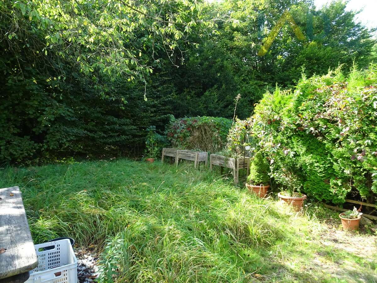 Helle 2-Zimmer-Wohnung mit eigenem Garten– sanieren, einziehen, wohlfühlen!, Amberg – Bild 1