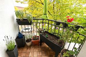 Property thumbnail 7