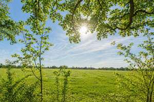 Platz satt, Feldblick gratis, Elmshorn direkt ums Eck! – Die vollständige Adresse der Immobilie erhältst du vom Anbieter., 25335 Altenmoor – Vorschaubild 18