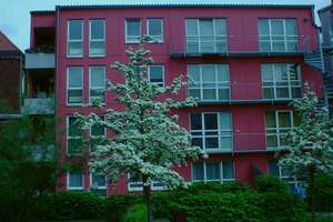 2-ZimmerWhg mit WBS in der Nordstadt – Schaufelder Str. 29, 30167 Nordstadt, Hannover – Vorschaubild 1