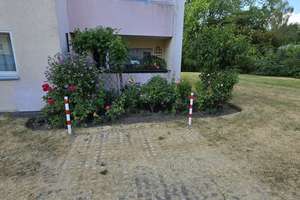 Erstbezug nach hochwertiger-Kernsanierung! Wohnung mit Balkon & Keller in Altenessen-Süd