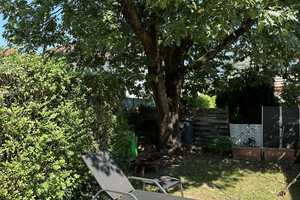 großes Einfamilienhaus in Singen – Konstanz (Kreis) – Vorschaubild 3