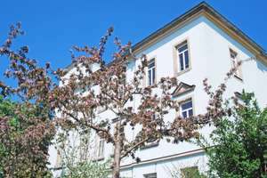 Helle & Schöne 1,5-RW * 2.OG * Einbauküche *  Bad mit Wanne & WMA * zentral * sehr gute ÖPNV * TOP * – Warthaer Straße 37, 1157 Cotta (Stadtteil), Dresden – Vorschaubild 14