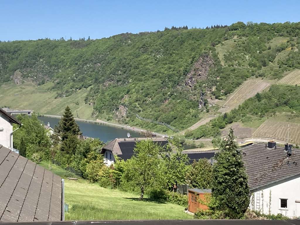 Immobilie in Traben-Trarbach - Großzügiges Einfamilienhaus mit vielen Nutzungsmöglichkeiten - Bild 4