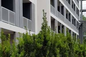 Ankommen. Wohlfühlen. Zuhause sein. Unmöbliertes Apartment der Extraklasse – Anni-Eisler-Lehmann-Str. 4-6, 55122 Hartenberg-Münchfeld, Mainz – Vorschaubild 12