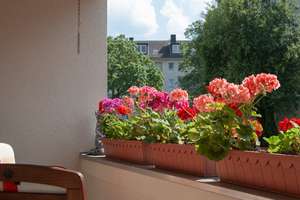 Property thumbnail 19