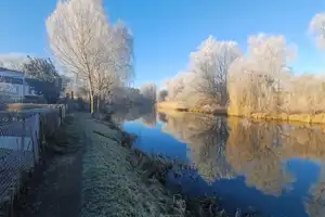 Wassergrundstück: Genießen Sie die Ruhe am Wasser – Güstrow (Kreis) – Vorschaubild 8