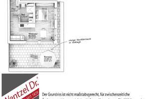 Single-Apartment mit Dachterrasse zur Miete in der Bremer Neustadt - Wentzel Dr. – Buntentorsteinweg 183, 28201 Buntentor, Bremen – Vorschaubild 8