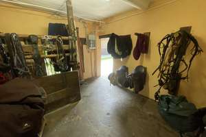 Charmanter Resthof mit vielseitigen Nutzungsmöglichkeiten und Weidefläche für Pferdehaltung – Die vollständige Adresse der Immobilie erhältst du vom Anbieter., 53937 Schleiden – Vorschaubild 38