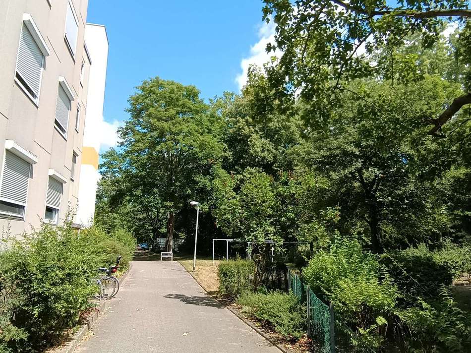 Viel Grün