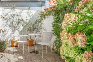 Stadthaus aus Gründerzeit, stilvoll renoviert und saniert, zentrale Lage, mediterrane Südterrasse – Emsland (Kreis) – Vorschaubild 9
