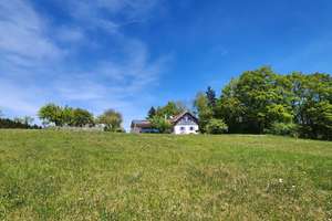Alleinlage mit freiem Blick : Paradis mit parkähnlichem Grundstück - 13.487 qm – Die vollständige Adresse der Immobilie erhältst du vom Anbieter., 94439 Roßbach – Vorschaubild 2