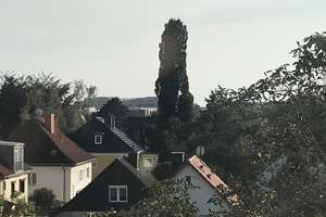 Schöne 3-Zimmer-DG-Wohnung mit Küche in Magdeburg – Cochstedter Straße 32, 39112 Leipziger Straße, Magdeburg – Vorschaubild 14